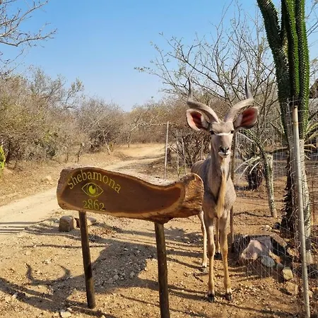 Shebamona No Loadshedding Villa Marloth Park Exterior photo
